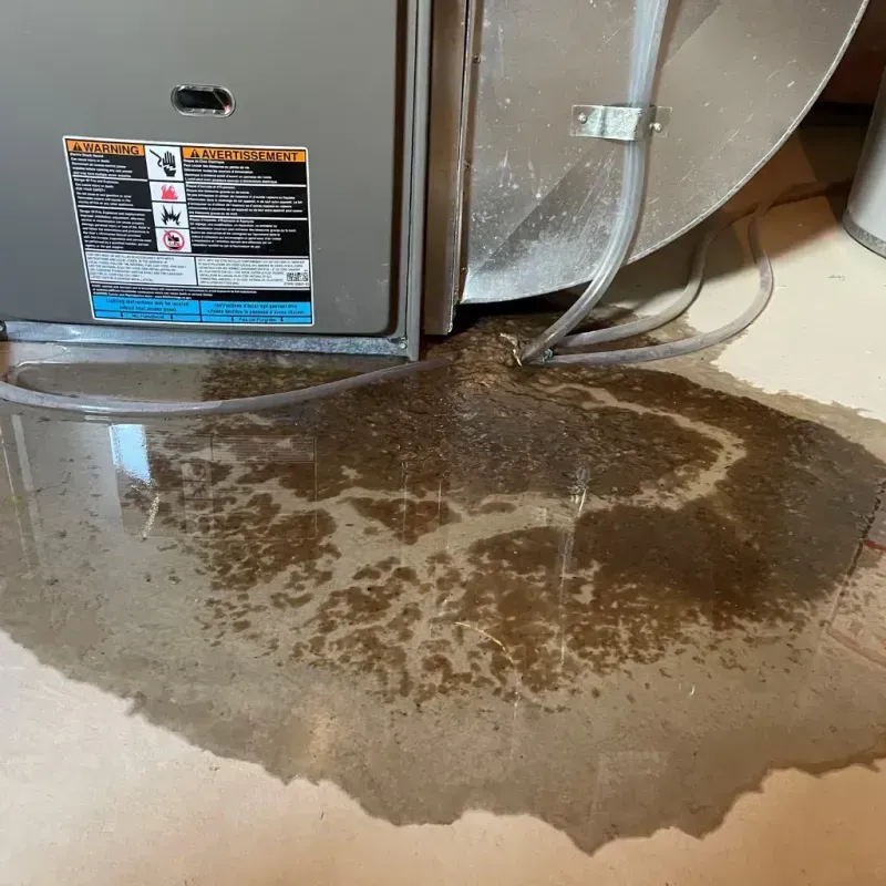 Appliance Leak Cleanup in Grant-Valkaria, FL